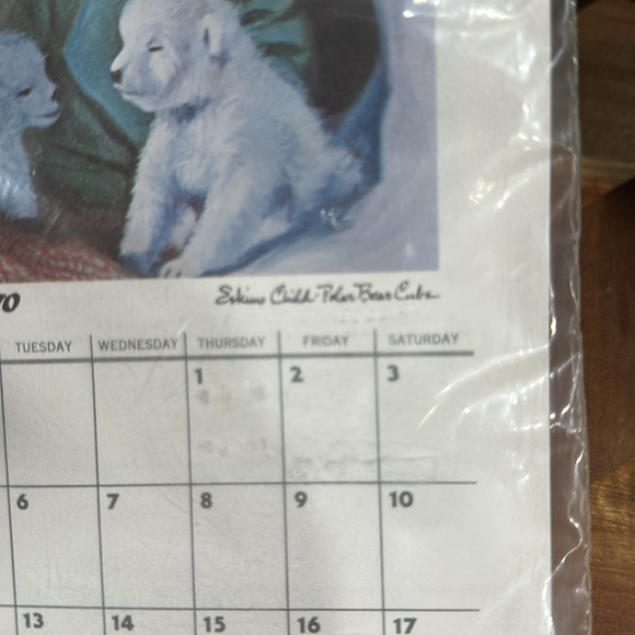 New in Plastic 1970 Original Paintings of Alaska Calendar - Picture 4 of 7